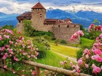 Jigsaw Puzzle Vaduz castle