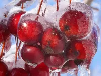 Пазл Замёрзшие ягоды