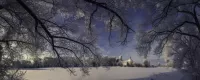 パズル Snow-covered branches