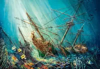 Jigsaw Puzzle The wreck