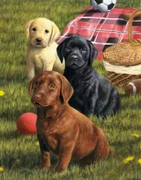 Jigsaw Puzzle Breakfast with Labradors