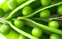 Puzzle green pea