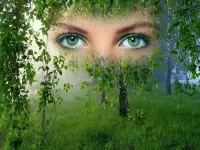 Zagadka The green-eyed collage