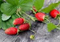 Bulmaca Strawberries