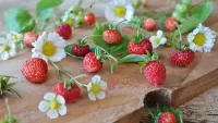 Slagalica strawberries