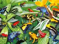 Jigsaw Puzzle Frogs