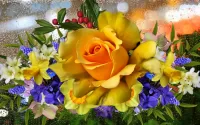 Rompicapo Yellow rose