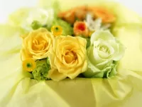Пазл Желтые и белые розы