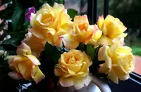 Пазл Желтые розы