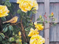 Пазл Желтые розы и птица