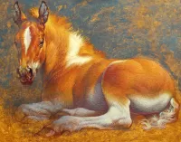 Puzzle Foal