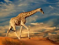 Puzzle Giraffe