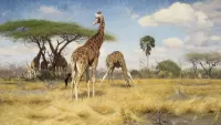Rompecabezas Giraffes