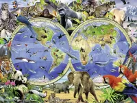 Jigsaw Puzzle Animal world