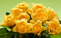 Пазл Жёлтые розы