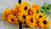 Quebra-cabeça Yellow flowers