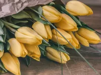 Пазл Жёлтые тюльпаны 