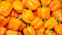 Rätsel Yellow pepper