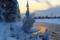 Пазл Зима