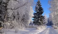 Slagalica Winter