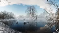 Zagadka Winter