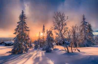 Jigsaw Puzzle Winter