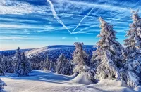 Пазл Зима в Чехии
