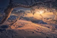 Jigsaw Puzzle Winter in the mountains