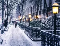 Jigsaw Puzzle Winter in New York