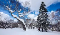 Пазл Зима в Японии