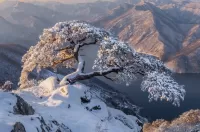 Jigsaw Puzzle Winter in South Korea