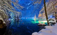 Quebra-cabeça Winter lake