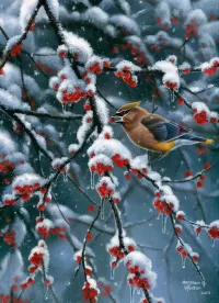 Jigsaw Puzzle winter berries