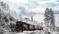 Пазл Зимний поезд