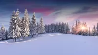 Zagadka Winter dawn