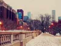 Quebra-cabeça Chicago in winter