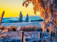 Bulmaca Winter scene