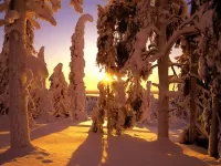Zagadka Winter sunset