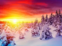 パズル Winter sunset