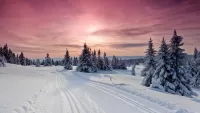 パズル Winter road