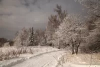 Puzzle Winter road