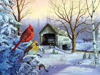 Jigsaw Puzzle Winter nature