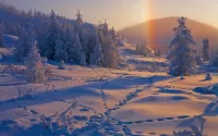 Quebra-cabeça Winter rainbow