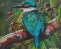 Puzzle Kingfisher
