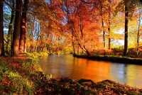 Slagalica Golden autumn