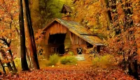 Zagadka Golden autumn