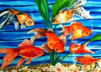 Rompecabezas Goldfish
