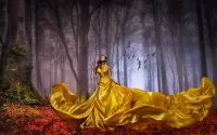 Quebra-cabeça Golden dress