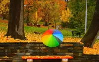 Zagadka Umbrella on the bench
