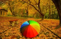 Quebra-cabeça rainbow colored umbrella
